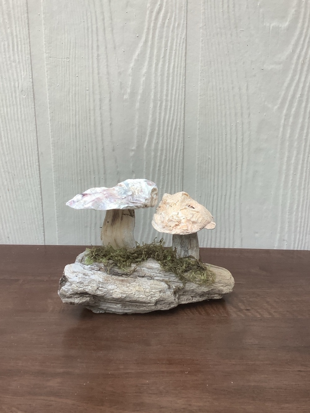 Driftwood Art, Driftwood and Oyster Shell Mushrooms, Mushroom Art, Coastal Art